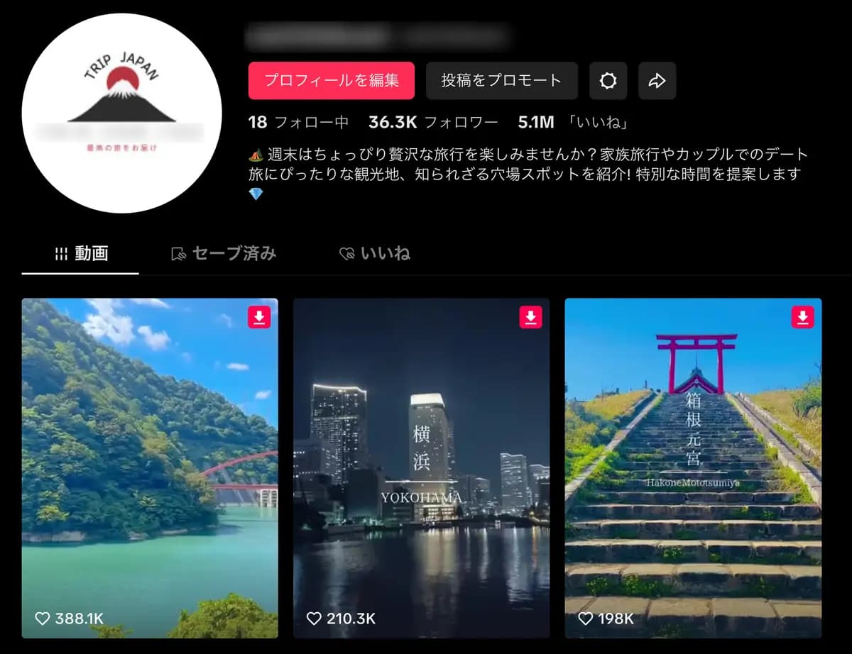【Tiktokフォロワー約3.6万人】フォロワー急増中の旅行アカウント！(属人性なし)