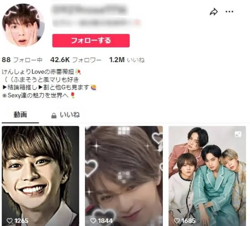 【フォロワー約４万(40,000)人】アイドル・ジャニーズ系 / アフィリエイト資料付