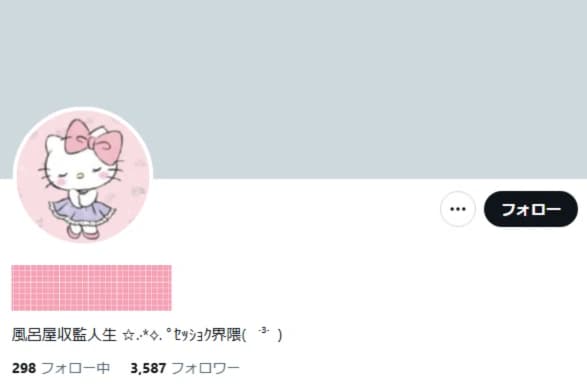 フォロワー3,500人超｜風俗・夜職・ダイエット・裏垢女子系　自然流入ファン多数の育成済みアカウント