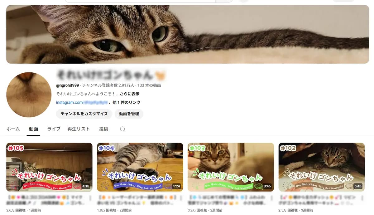 癒し系ペットチャンネルの運営に興味はありませんか？登録者2.91万人の猫動画アカウントを譲渡します